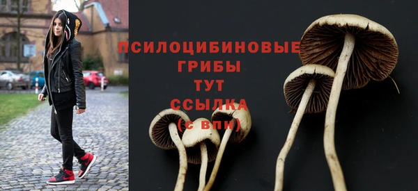 дмт Алексеевка