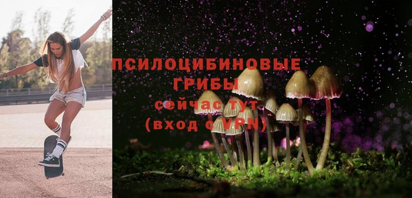 дмт Алексеевка